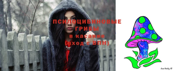 стаф Богданович