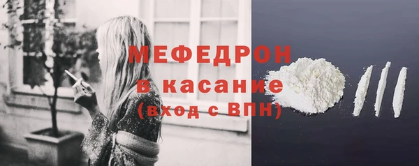 стаф Богданович