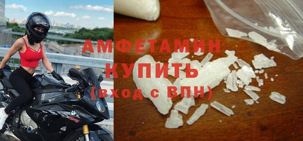 стаф Богданович