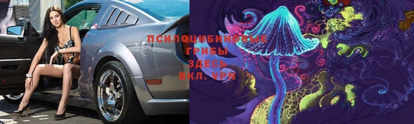 крисы Богородск