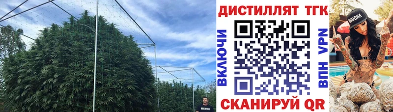 цена наркотик Сланцы ТГК концентрат