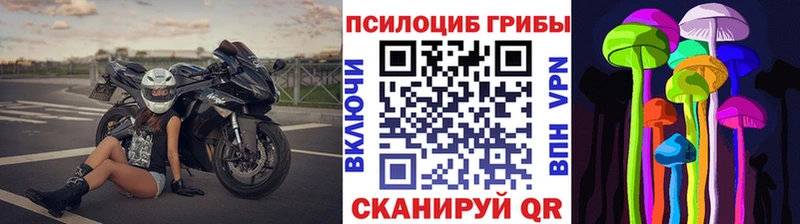 как найти   Сланцы  Галлюциногенные грибы GOLDEN TEACHER 